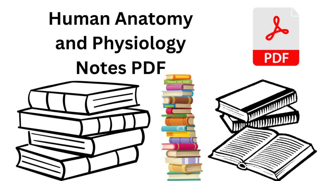 Download Human Anatomy and Physiology Notes PDf.